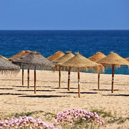 Centralgarve - Amazing In The Heart Of Appartement *